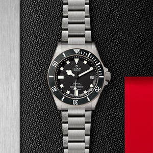 Tudor Pelagos 42mm m25600tn-0001 - alternate view 3