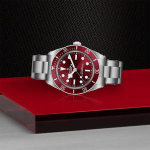 Tudor Black Bay 58 39mm m7939a1a0ru-0002 - alternate view 3