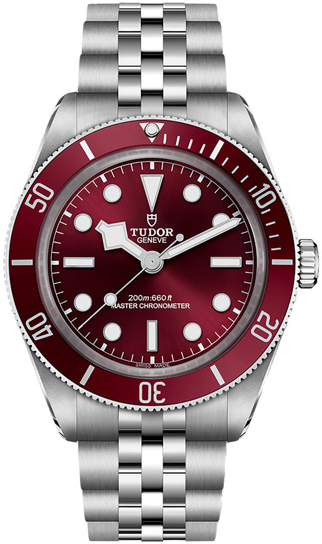 Tudor Black Bay 58 39mm m7939a1a0ru-0001 - front view